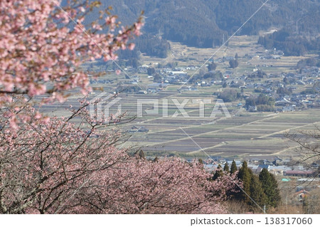 山村背景下，櫻花盛開。 138317060