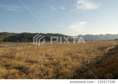 Saejae Bicycle Path Saejae Bicycle Path 138317106