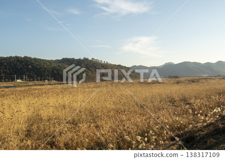 Saejae Bicycle Path Saejae Bicycle Path 138317109