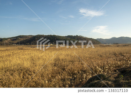 Saejae Bicycle Path Saejae Bicycle Path 138317110