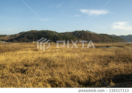 Saejae Bicycle Path Saejae Bicycle Path 138317113