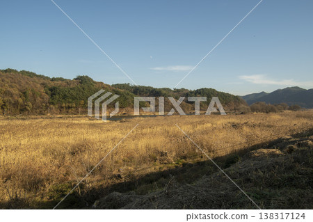 Saejae Bicycle Path 138317124