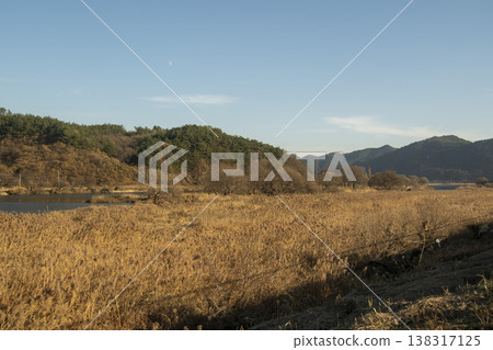 Saejae Bicycle Path Saejae Bicycle Path 138317125