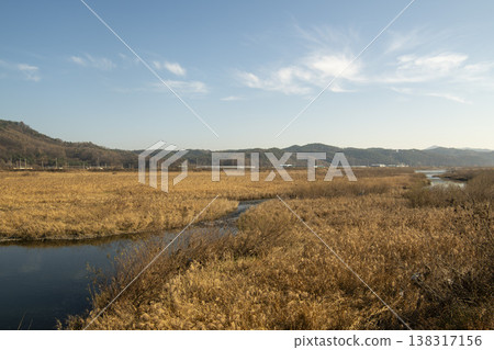 Saejae Bicycle Path Saejae Bicycle Path 138317156