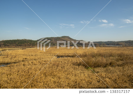 Saejae Bicycle Path Saejae Bicycle Path 138317157