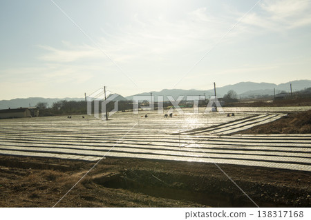 Saejae Bicycle Path Saejae Bicycle Path 138317168