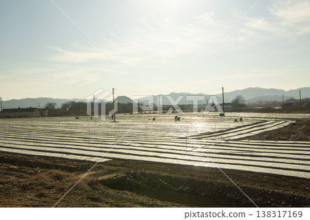 Saejae Bicycle Path Saejae Bicycle Path 138317169