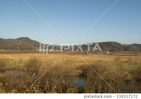 Saejae Bicycle Path Saejae Bicycle Path 138317172