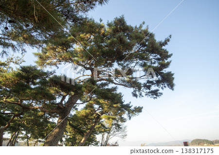 Saejae Bicycle Path Saejae Bicycle Path 138317175