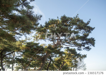 Saejae Bicycle Path Saejae Bicycle Path 138317176