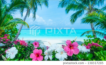 A tropical beach, pink and white hibiscus flowers, and a turquoise blue sea. A tropical beach, pink and white hibiscus flowers, and a turquoise blue sea. 138317285