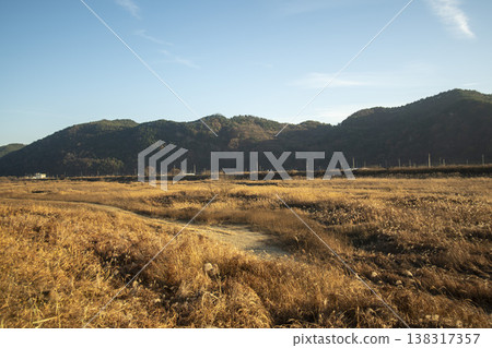 Saejae Bicycle Path Saejae Bicycle Path 138317357