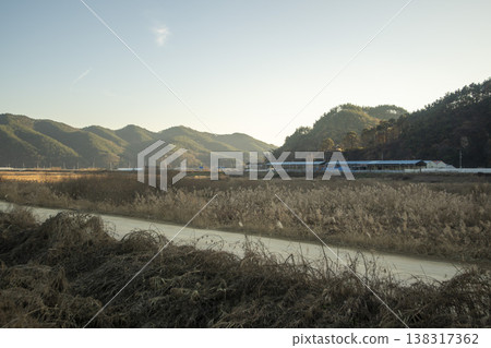 Saejae Bicycle Path Saejae Bicycle Path 138317362