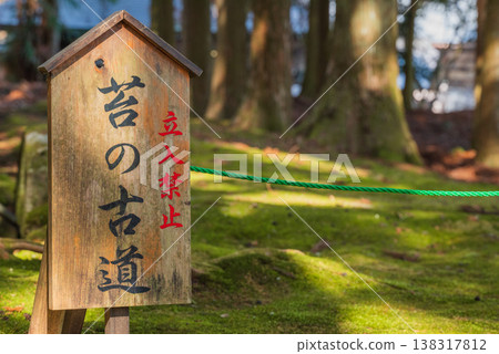 【高禪寺】青苔古道【駒根市】 138317812