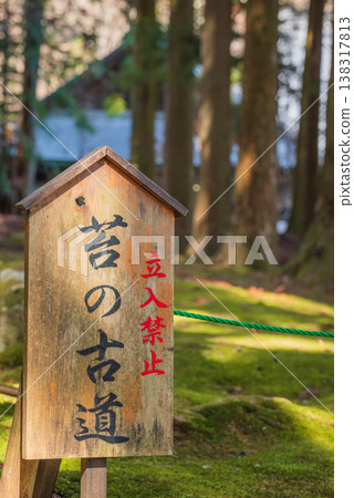 [Kōzenji Temple] Mossy Ancient Path [Komagane City] 138317813