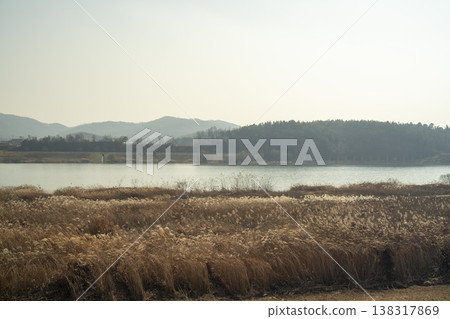 Nakdong River Bicycle Path 138317869