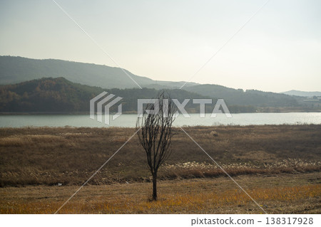 Nakdong River Bicycle Path 138317928