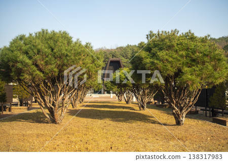 Nakdong River Bicycle Path 138317983