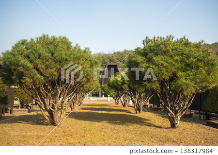Nakdong River Bicycle Path 138317984