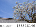 White magnolia and the roof of a Japanese house 138318146