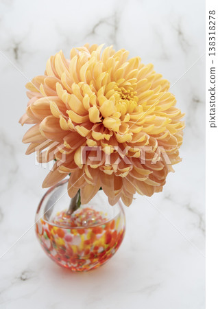 一朵去苞的菊花，插在暖色調的玻璃花瓶中（垂直構圖，面向右側）。 138318278