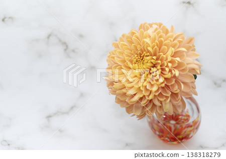 A disbudded chrysanthemum in a warm-colored glass vase (horizontal composition, facing left). 138318279
