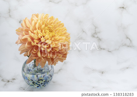 A disbudded chrysanthemum in a cool-toned glass vase (horizontal composition, facing right). A disbudded chrysanthemum in a cool-toned glass vase (horizontal composition, facing right). 138318283