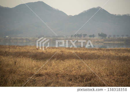 Nakdong River Bicycle Path Nakdong River Bicycle Path 138318358