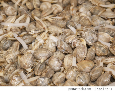 市場的海瓜子01 市場的海瓜子01 138318684