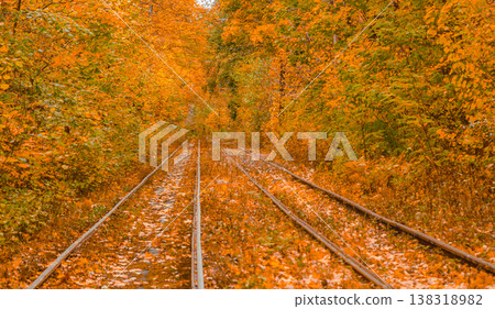 Autumn forest through which the tram travels, Kyiv and rails 138318982