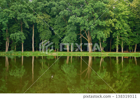 Trees reflected in calm lake water 138319311