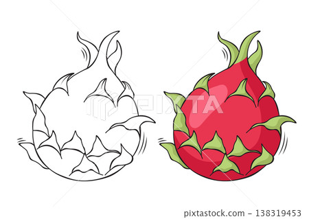 Dragon fruit outline and colored version side by side, exotic fruit hand drawn vector illustration for coloring book pages Dragon fruit outline and colored version side by side, exotic fruit hand drawn vector illustration for coloring book pages 138319453