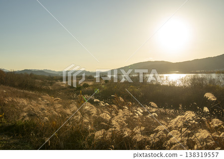 Nakdong River Bicycle Path Nakdong River Bicycle Path 138319557