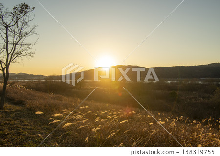 Nakdong River Bicycle Path 138319755