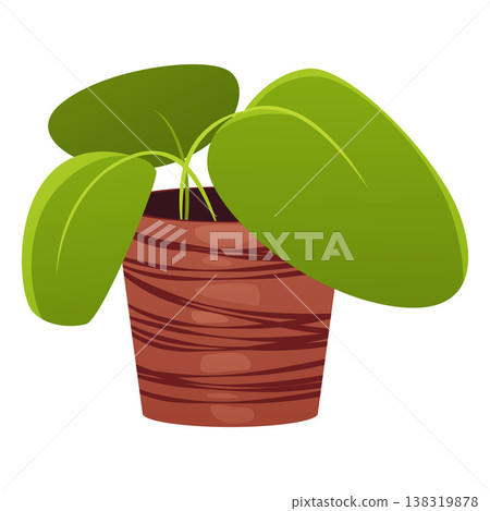 Green plant in brown pot vector flat icon, cartoon potted flower in container, succulent, aloe, floral home decoration 138319878