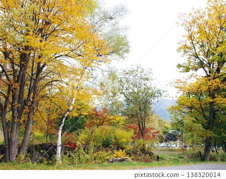 Autumn leaves of Norikura Kogen Autumn leaves of Norikura Kogen 138320014
