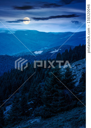 hillside of mountain range with coniferous forest and grassy meadow at night. full moon over beautiful summer landscape with alp. mysterious nature background of highland for earth day hillside of mountain range with coniferous forest and grassy meadow at night. full moon over beautiful summer landscape with alp. mysterious nature background of highland for earth day 138320046