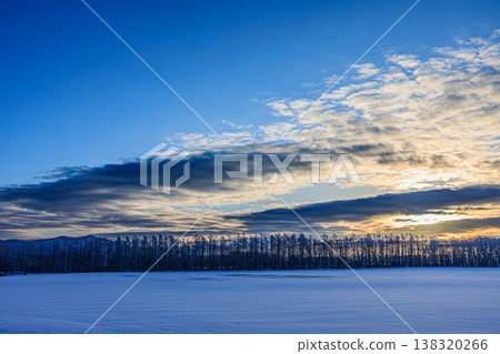 廣闊的雪原，藍天白雲環繞，構成了一個冬日美景：這就是北海道的自然風光。 138320266