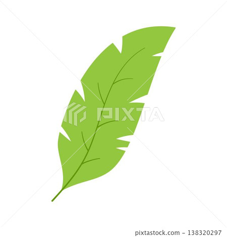 exotic palm leaf in flat style isolated 138320297