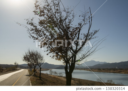 Nakdong River Bicycle Path 138320314