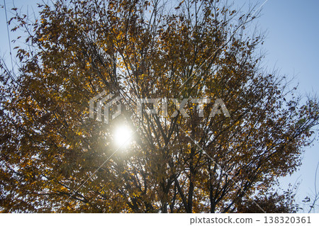 Nakdong River Bicycle Path 138320361