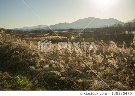 Nakdong River Bicycle Path 138320470
