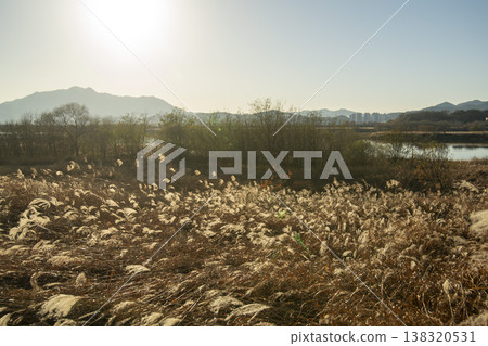 Nakdong River Bicycle Path 138320531
