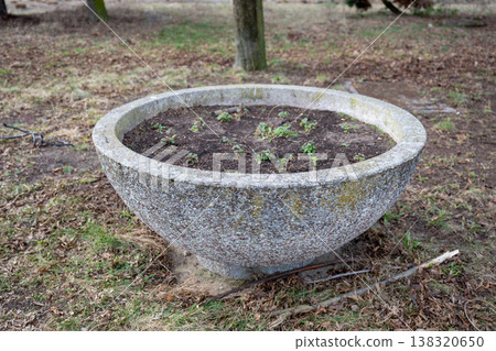 Large concrete garden planter with young plants in soil outdoor landscaping element in park environment Large concrete garden planter with young plants in soil outdoor landscaping element in park environment 138320650