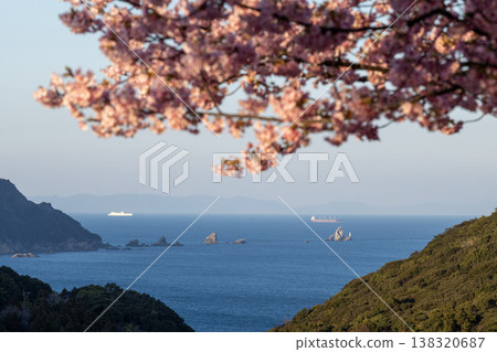 A view of the spring sea and rocky shores through cherry blossoms. A view of the spring sea and rocky shores through cherry blossoms. 138320687