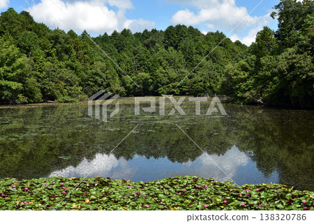 滋賀縣甲賀市禦池寺弁天池：水下鳥居 138320786