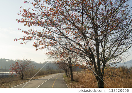 Nakdong River Bicycle Path Nakdong River Bicycle Path 138320906