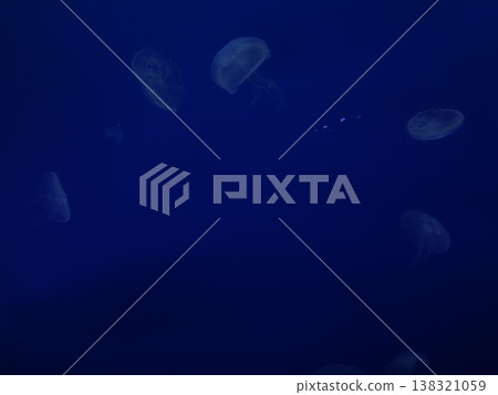 籠子 138321059