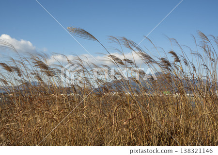 Nakdong River Bicycle Path Nakdong River Bicycle Path 138321146