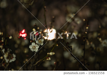 夜深人靜,白梅花盛開,背景是閃爍的散景。 夜深人靜,白梅花盛開,背景是閃爍的散景。 138321558